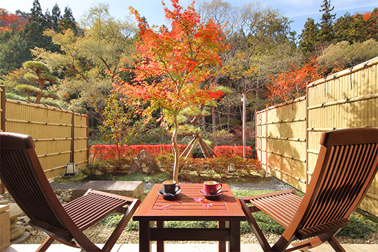 紅葉も楽しんで。例年、10月下旬～11月上旬に紅葉します。